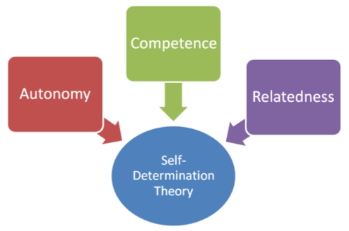 Motivation And Self-Determination Theory